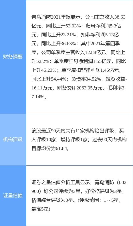 青鳥消防擬定增募資不超過22億元 重點(diǎn)投向網(wǎng)絡(luò)與信息安全軟件開發(fā)